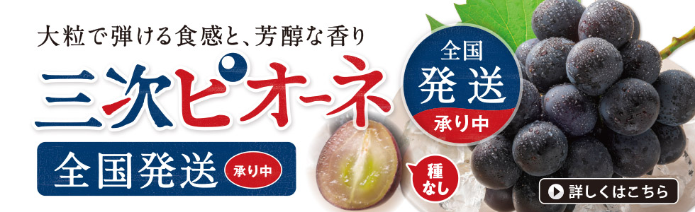 2026　三次ピオーネ